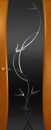 Межкомнатная дверь Буревестник 2 ДО Анегри (стекло черное растение)