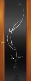 Межкомнатная дверь Шторм-3 ДО Анегри (стекло черное растение)
